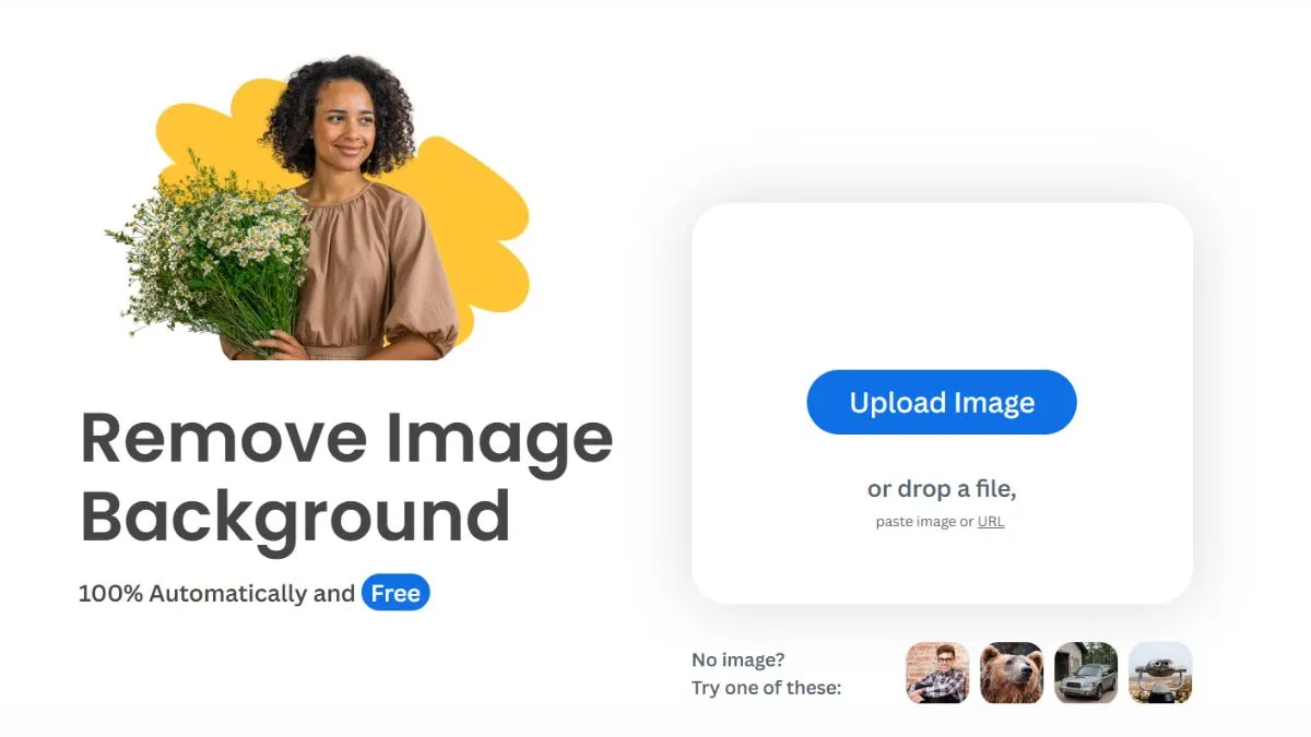 remove.bg Review & Step-by-Step Guide | Free vs Pro, Pricing, Features & Accuracy